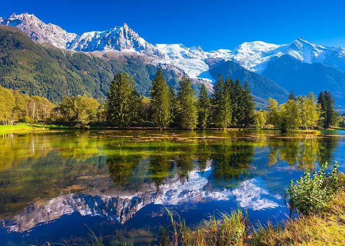 Résidence Grand Roc - Bruyères 121 - Happy *